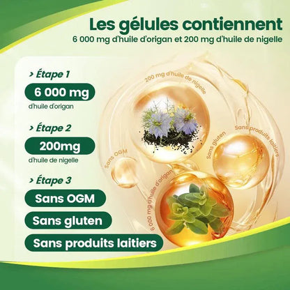 Huile d’Origan + Huile de Nigelle – 300 Gélules
