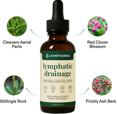 LYMPHORIA® | Drainage Lymphatique Naturel